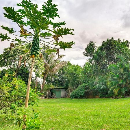 Charming Historic Hilo House Minutes To Beach! Eksteriør bilde