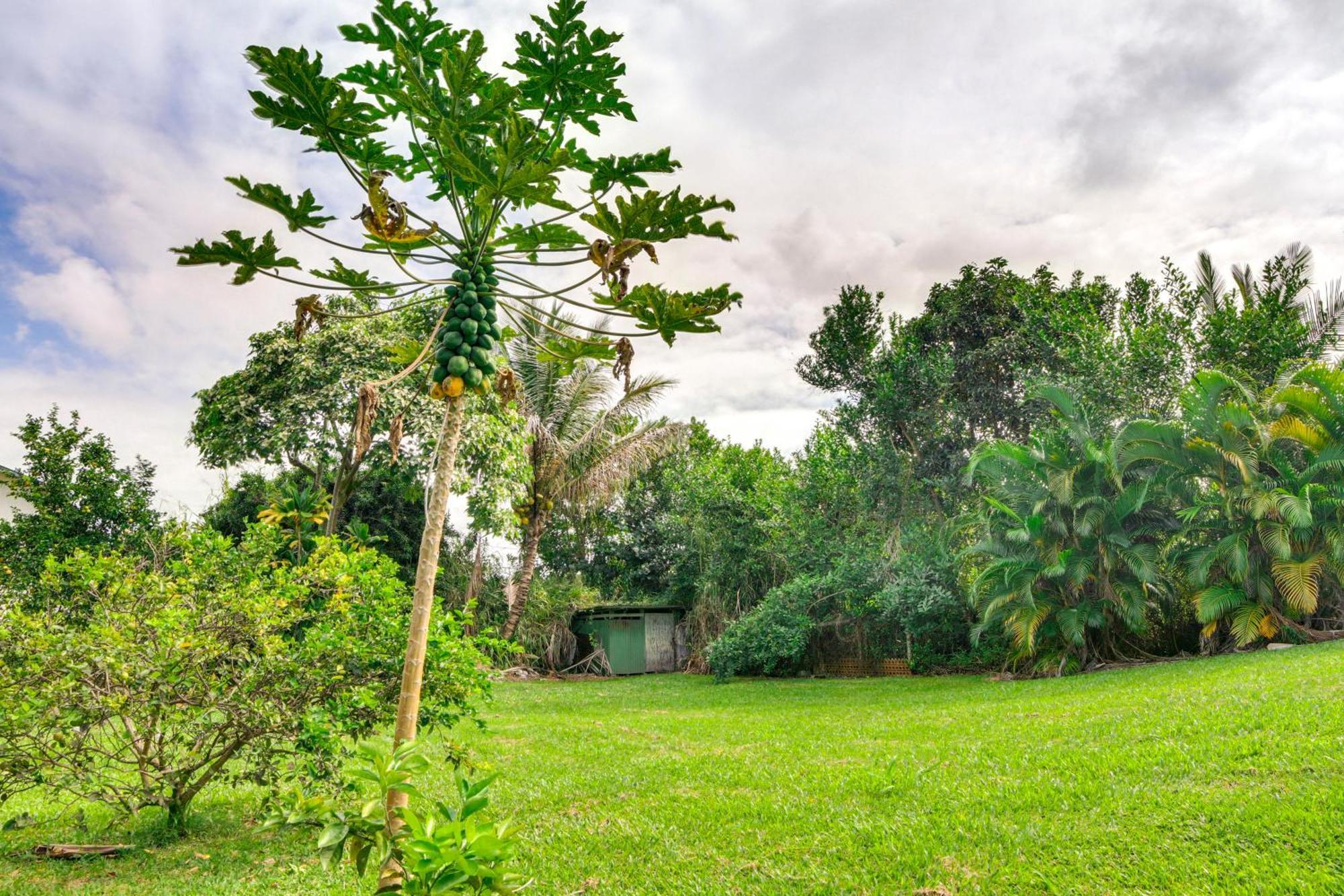 Charming Historic Hilo House Minutes To Beach! Eksteriør bilde